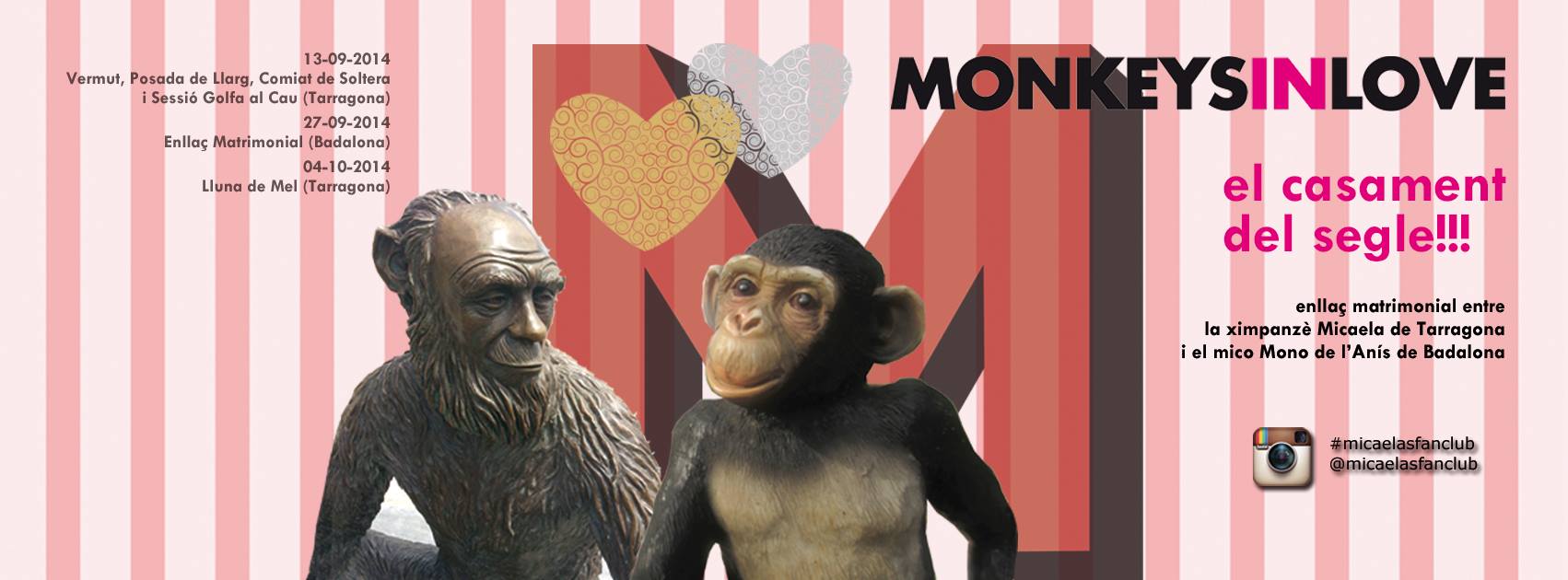 Monkeys in love